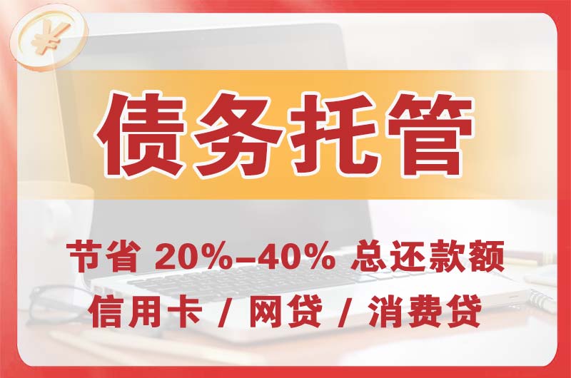 林口县债务托管